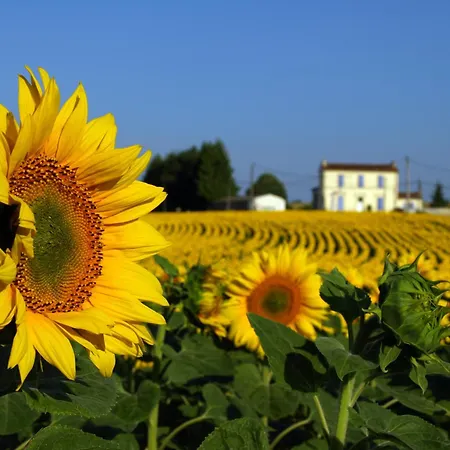 Le Manoir De La Foye