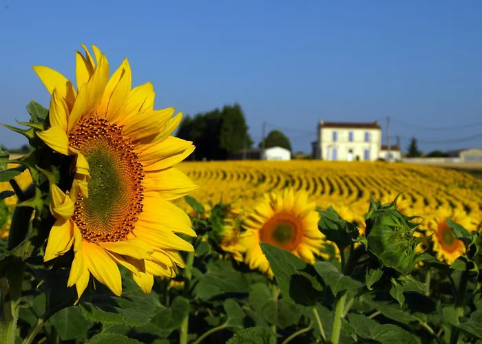 Le Manoir De La Foye